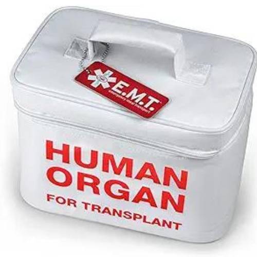 Funny nurse lunch box.