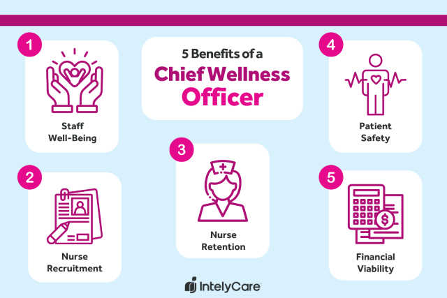 Organization chart showing a common hospital hierarchy structure