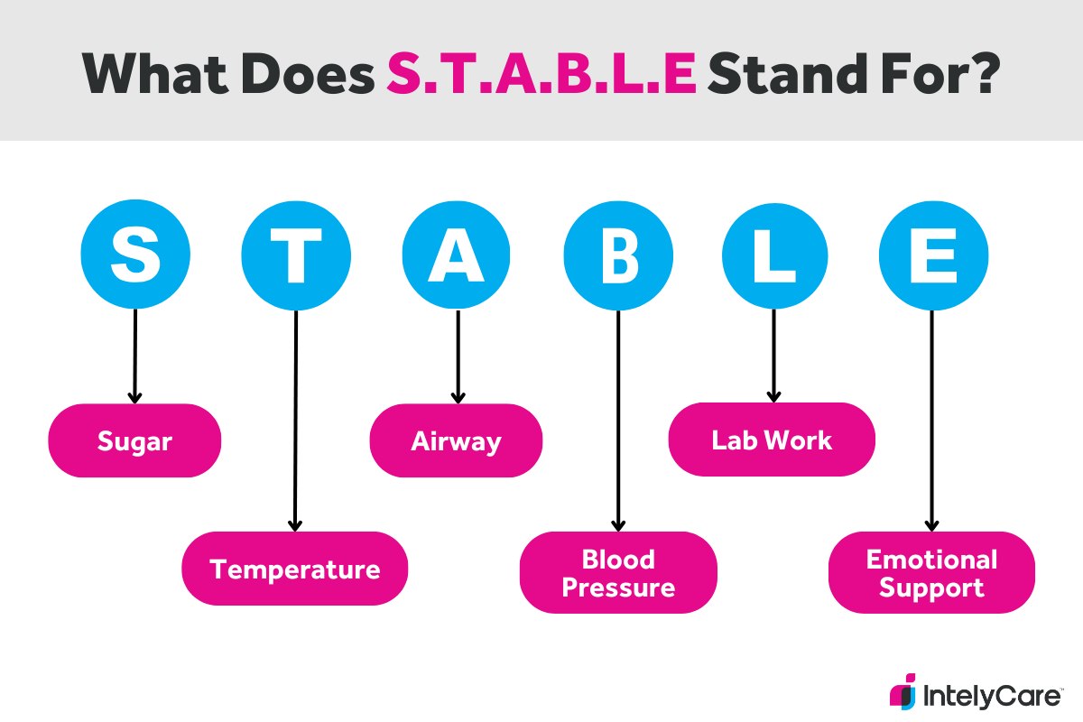 A graphic displaying: What does S.T.A.B.L.E stand for?.